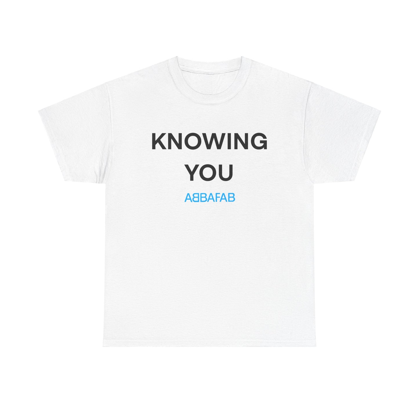 AbbaFab - Knowing You