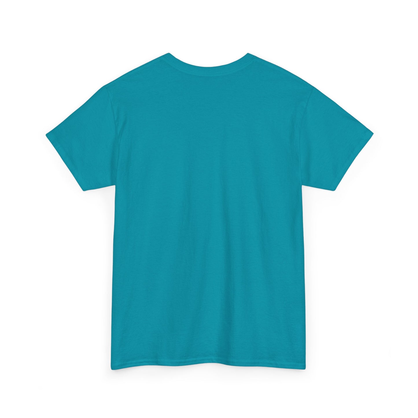 Snoa Pa T Shirt - Abba Holly Jolly Christmas Show (Many Colors)