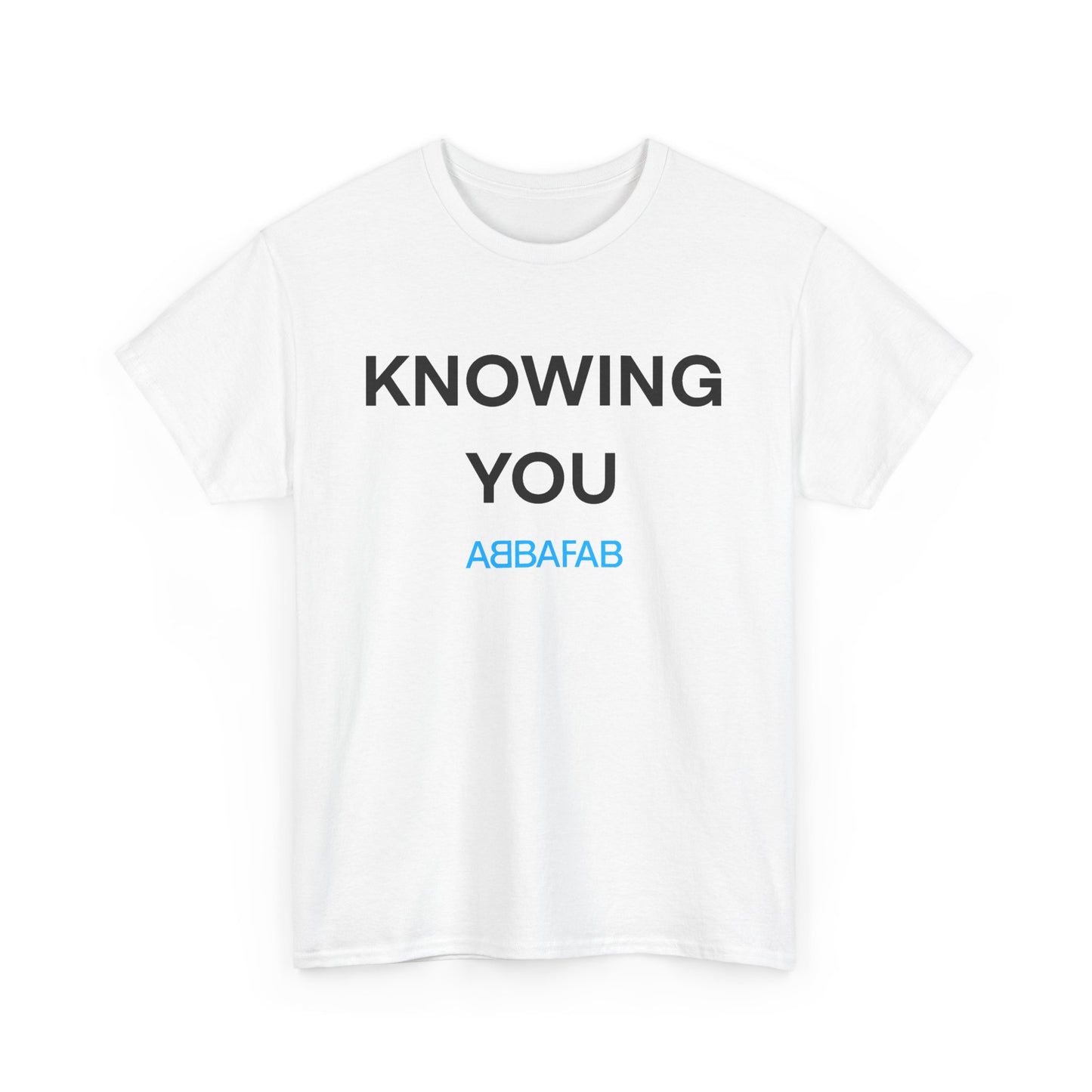 AbbaFab - Knowing You