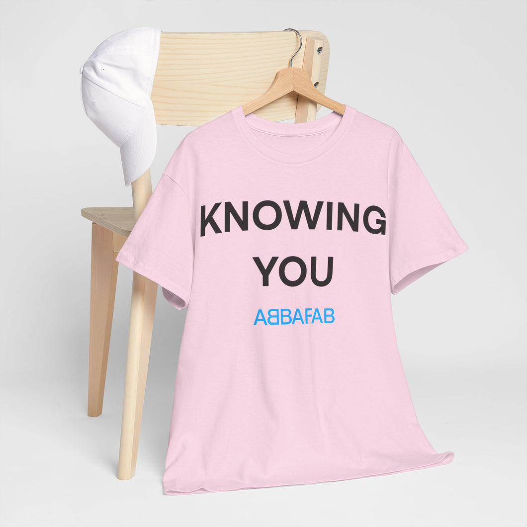 AbbaFab - Knowing You